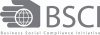 Bsci logo 300.jpg