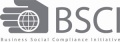 Bsci logo 300.jpg
